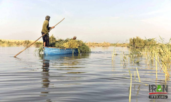 Hamoon Lake - Sistan va Balouchestan Province