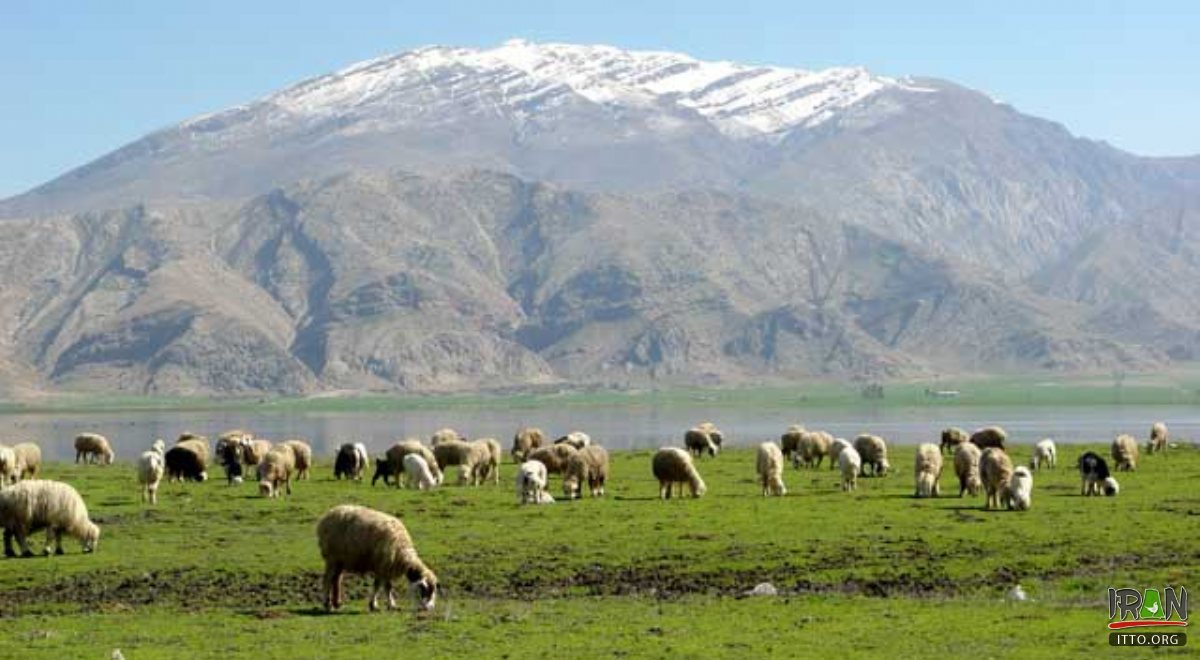 grassland in Izeh