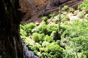 Margoon Waterfall - Sepidan (Fars Province)