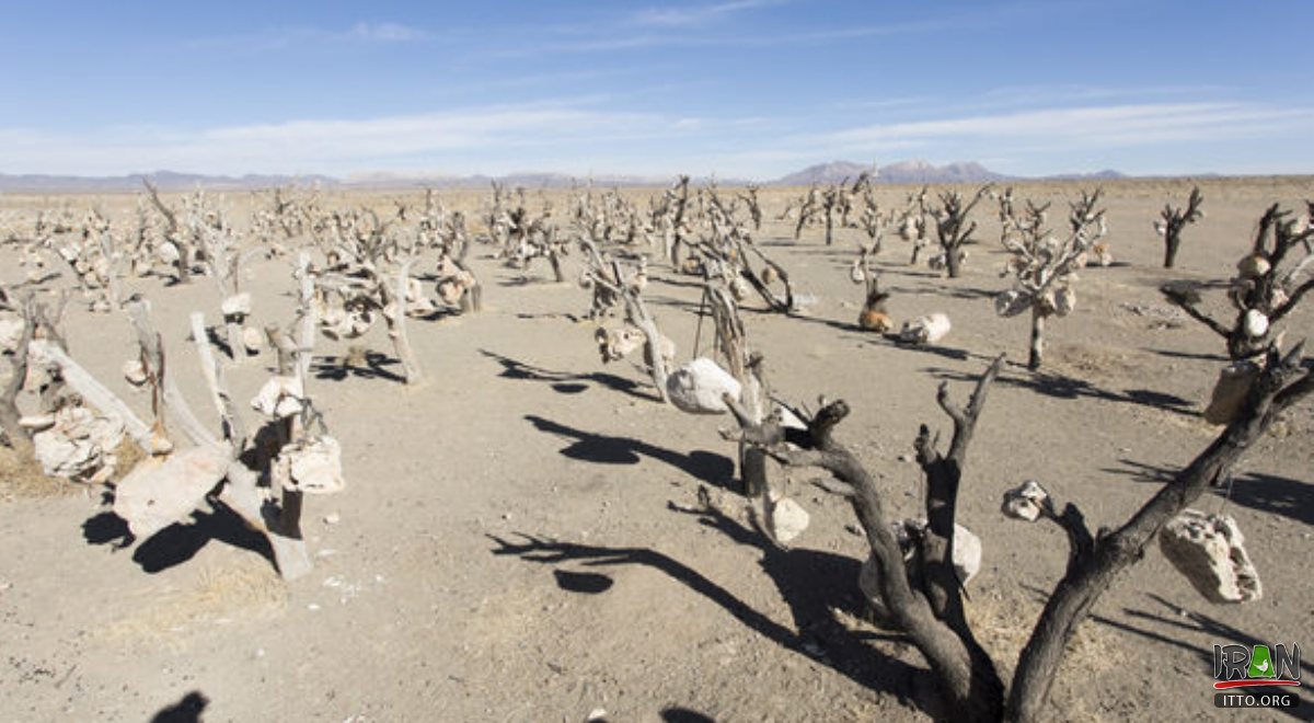 Baagh Sangi - Sirjan