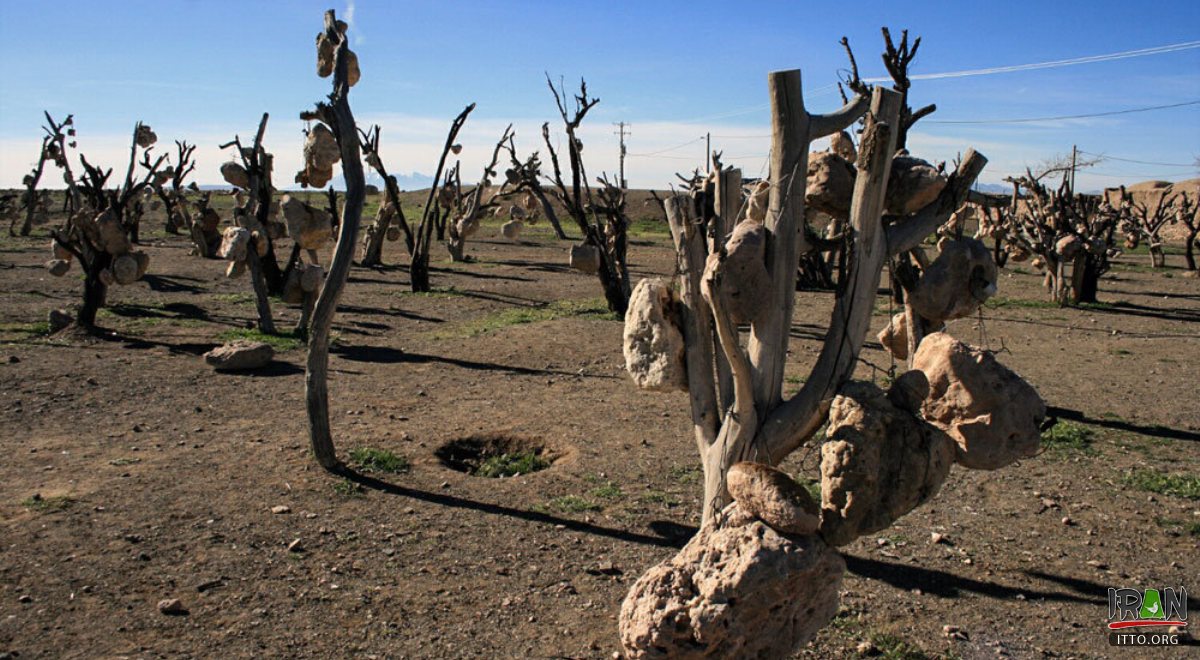 Sirjan: Bagh'e Sangi