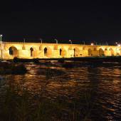 Ancient Bridge of Dezful - Khuzestan