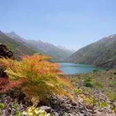 Gahar Lake - Dorud (Lorestan Province)