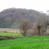 Gerdkooh Ancient Hill - Qaem Shahr (Mazandaran)