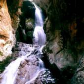 Golestan National Park