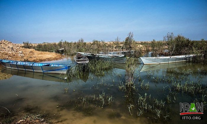 Hoorolazim Wetlands - Hoveyzeh (Khuzestan Province)