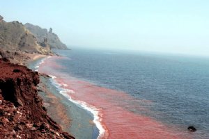 Silver and Red Beach of Hormuz
