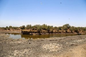 Hoorolazim Wetlands - Hoveyzeh (Khuzestan Province)
