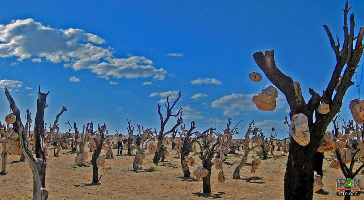 Sirjan: Bagh-e Sangi