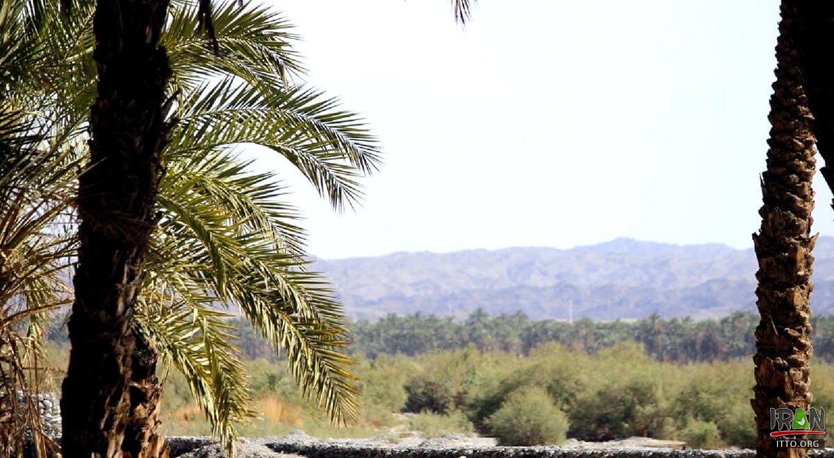 Iran Shahr (Iranshahr)