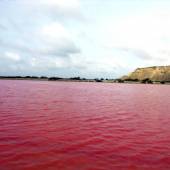 Lipar Pink Lagoon near chabahar
