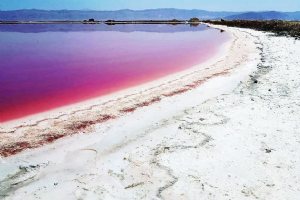 Lipar Pink Lake - Chabahar