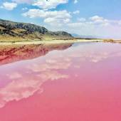 Lipar Pink wetland - Chabahar