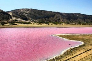 Lipar Pink Wetland near Chabahar