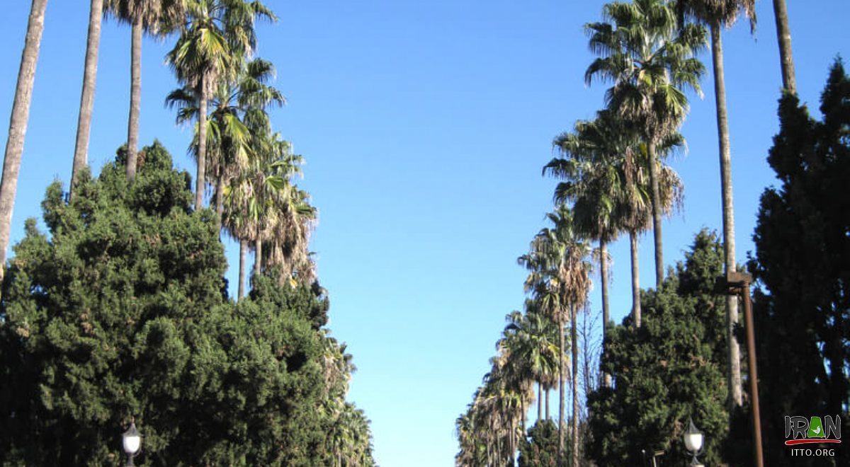 Moalem Boulevard - Ramsar Hotel