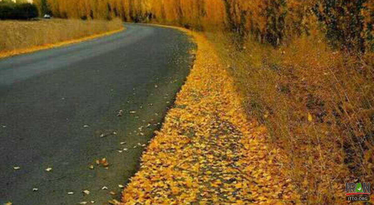 Oshnavieh - West Azerbaijan