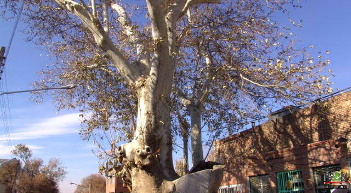 Osku (Oskoo) - East Azarbaijan