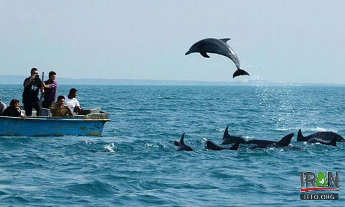 Qeshm Island - Persian Gulf