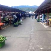 Ramsar Bazaar