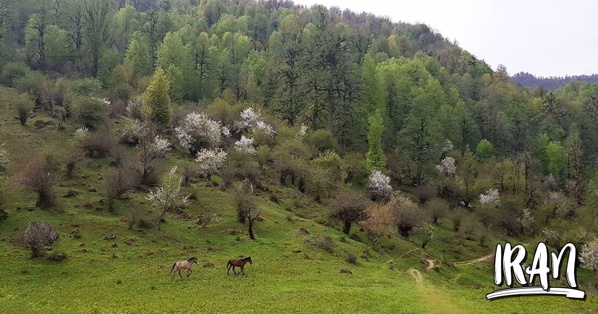Javaher Deh PHOTO: Javaher-Deh - Ramsar - Iran Travel and Tourism