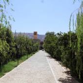 Sadri Garden (Namir) - taft