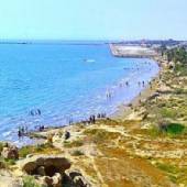 Siniz Port - Bushehr