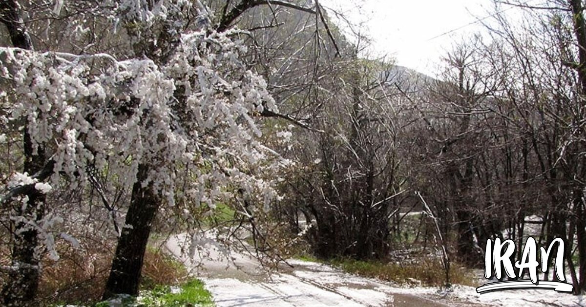 PHOTO Tandoureh Protected Area Dargaz (Khorasan Razavi) Iran