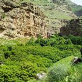 Tandoureh Protected Area - Dargaz (Khorasan Razavi)