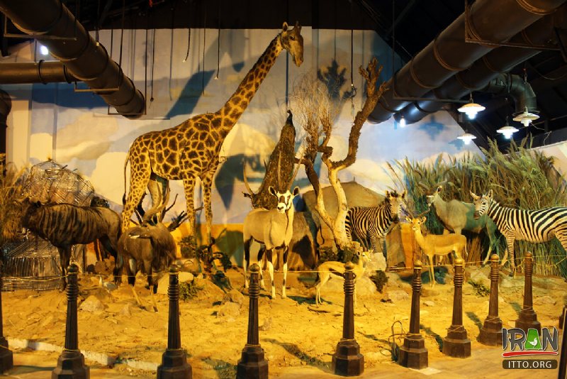 Iran Wildlife and Nature Museum - Dar Abad Photo Gallery - Iran Travel ...