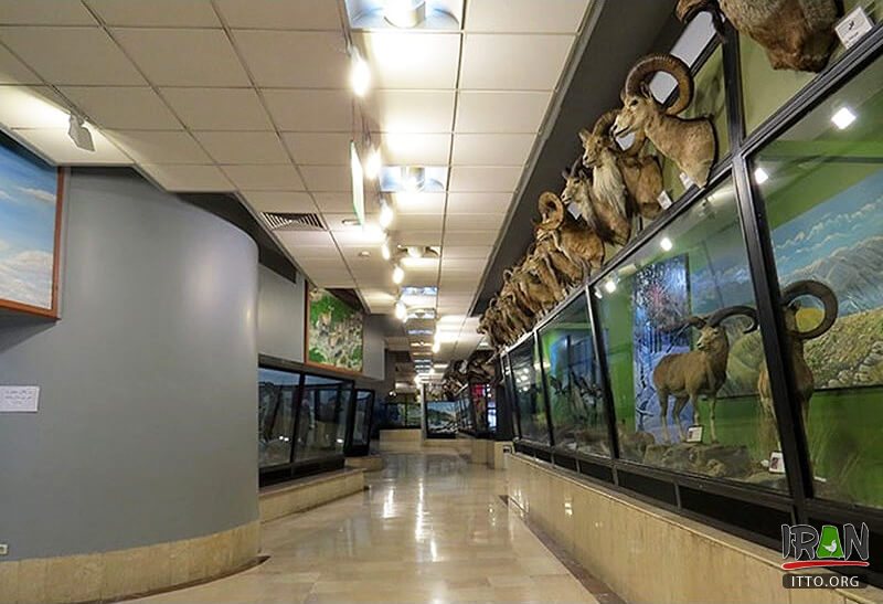 Natural Monuments and Wildlife Museum (Dar Abad),Iran Darabad Museum of Nature & Wildlife,Tehran's Nature and Wildlife Museum of Darabad,Darabad museum