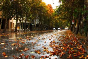 Autumn in Vali-e-Asr St. (Tehran)